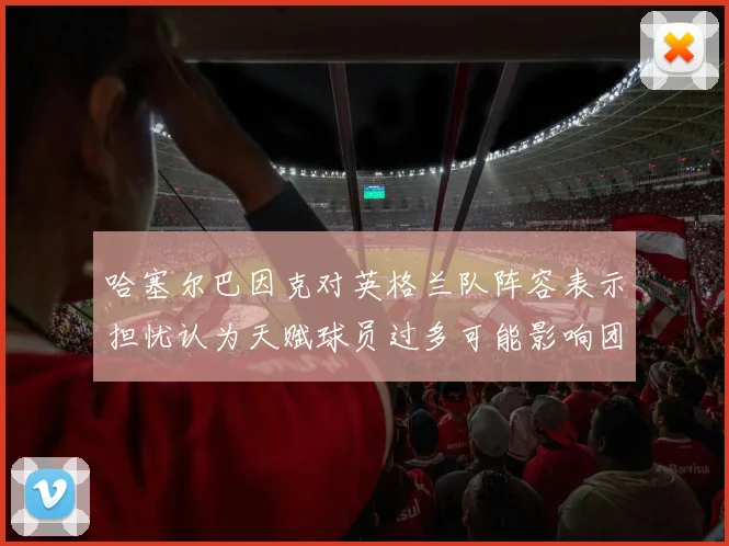 哈塞尔巴因克对英格兰队阵容表示担忧认为天赋球员过多可能影响团队合作