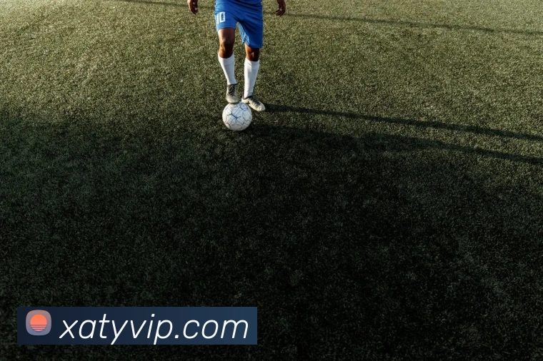 新爱体育平台生态图