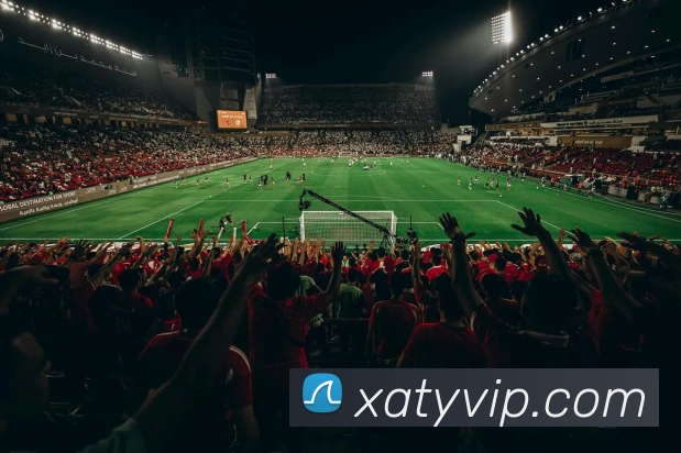 新爱体育全站App